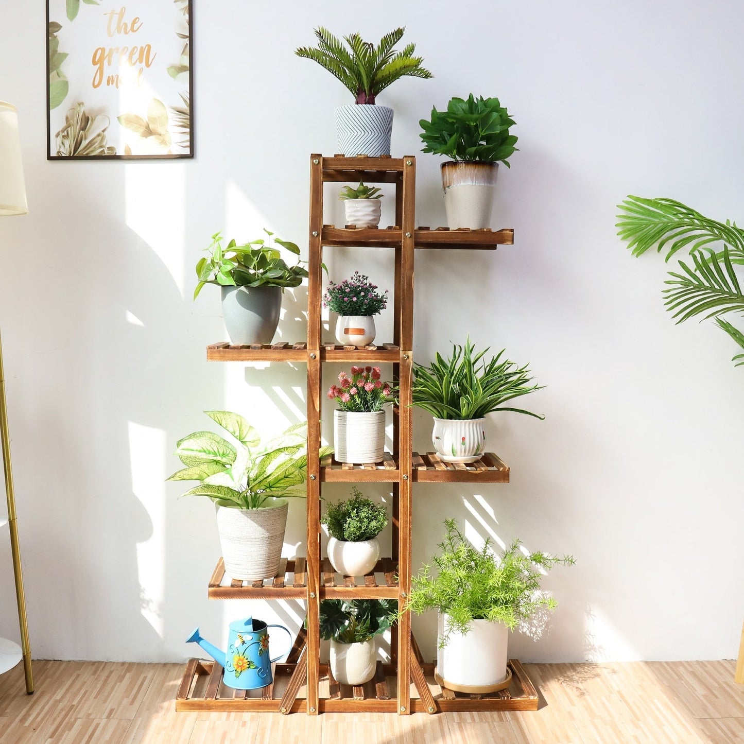 Home Décor Organizer for Plants