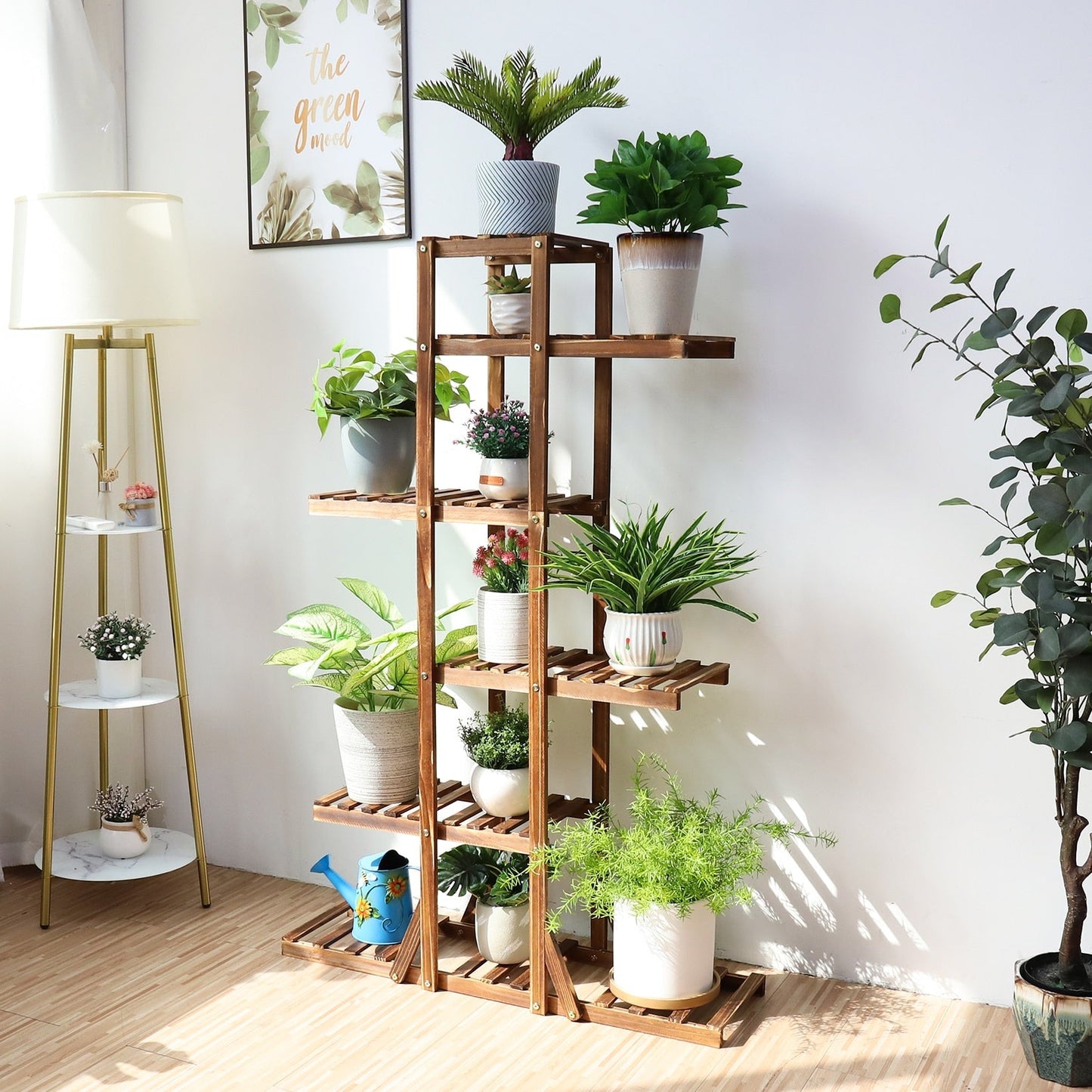Home Décor Organizer for Plants